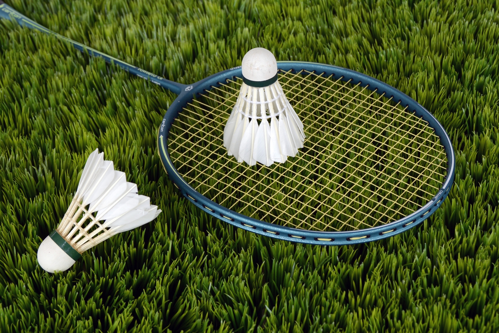 badminton lessons